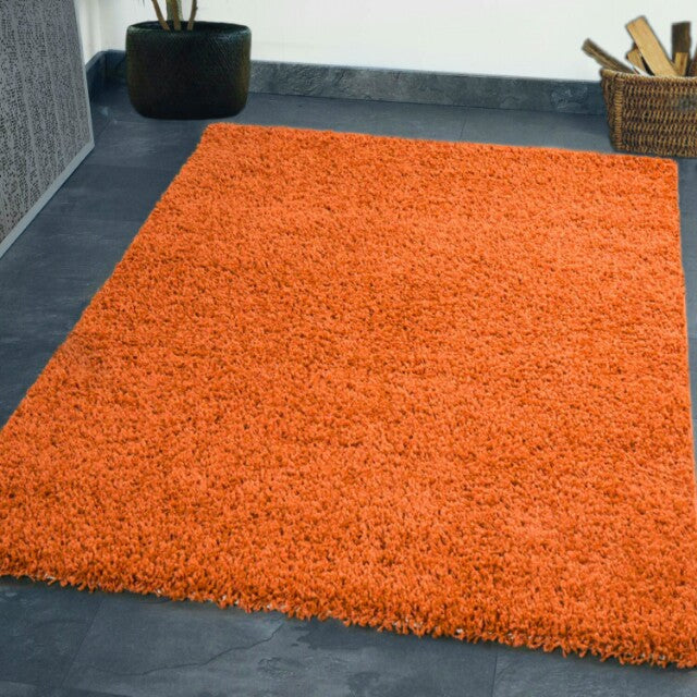 Wadan Colourful Shaggy Rugs Large Living Room Rugs Washable