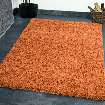 Colourful Shaggy Rugs Large Living Room Rugs