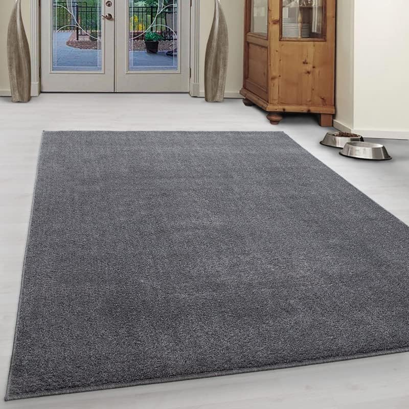 Wadan ATA Plain Shaggy Rugs - Modern Living Room Rugs