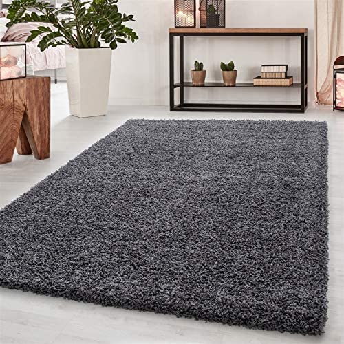 Wadan Fluffy Dark Grey Rug Living Room Are Non-Slip Washable Rugs