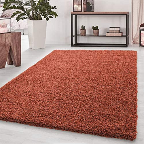 Wadan Large Terracotta Shaggy Rugs